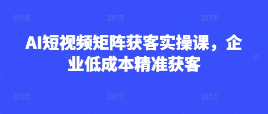AI短视频矩阵获客实操课，企业低成本精准获客-轻创终点站