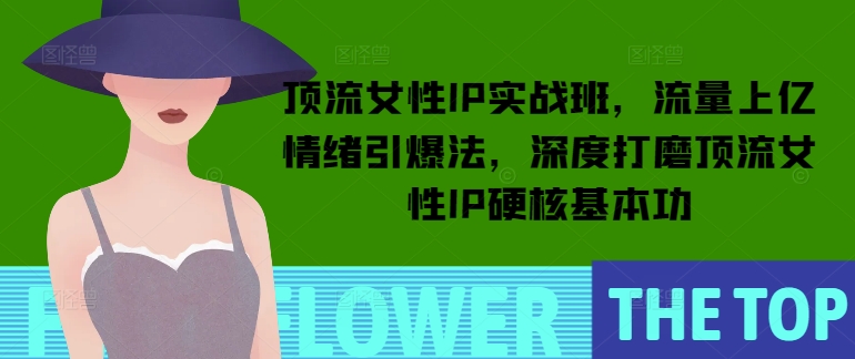 顶流女性IP实战班，流量上亿情绪引爆法，深度打磨顶流女性IP硬核基本功-轻创终点站