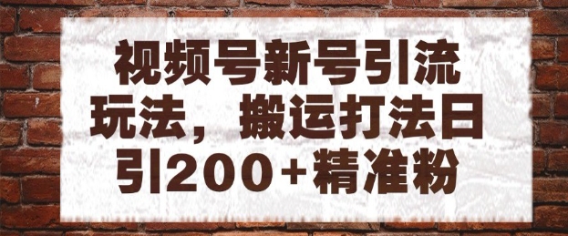 视频号新号引流玩法，搬运打法日引200+精准粉，可矩阵放大【揭秘】-轻创终点站