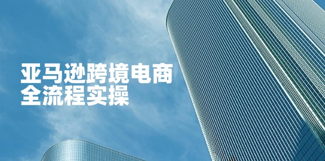 亚马逊跨境电商全流程实操，教你从零开始，掌握店铺运营与广告技巧-轻创终点站