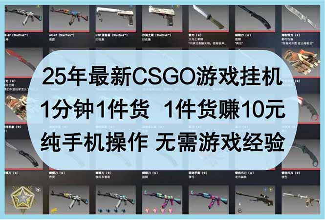 25年最新CSGO游戏挂机，1分钟1件货，1件货赚10元 纯手机操作 无需游戏经验-轻创终点站