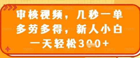 审核视频，几秒一单，多劳多得，新人小白一天轻松3张【揭秘】-轻创终点站
