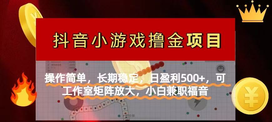 【抖音小游戏发行人计划项目】操作简单，长期稳定，日盈利500+，可工作…-轻创终点站