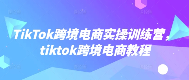 TikTok跨境电商实操训练营，tiktok跨境电商教程-轻创终点站