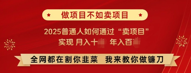 必看，做项目不如卖项目，2025普通人如何通过“卖项目”实现月入十个，年入百个-轻创终点站