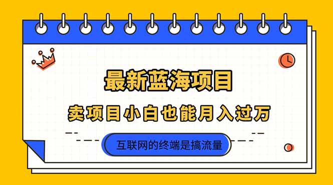 2025年最新蓝海项目，卖项目小白也能月入过万-轻创终点站