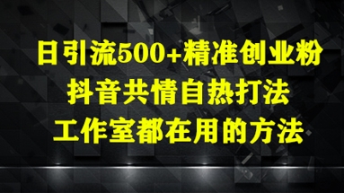 日引流500+精准创业粉，抖音共情自热打法，工作室都在用的方法-轻创终点站