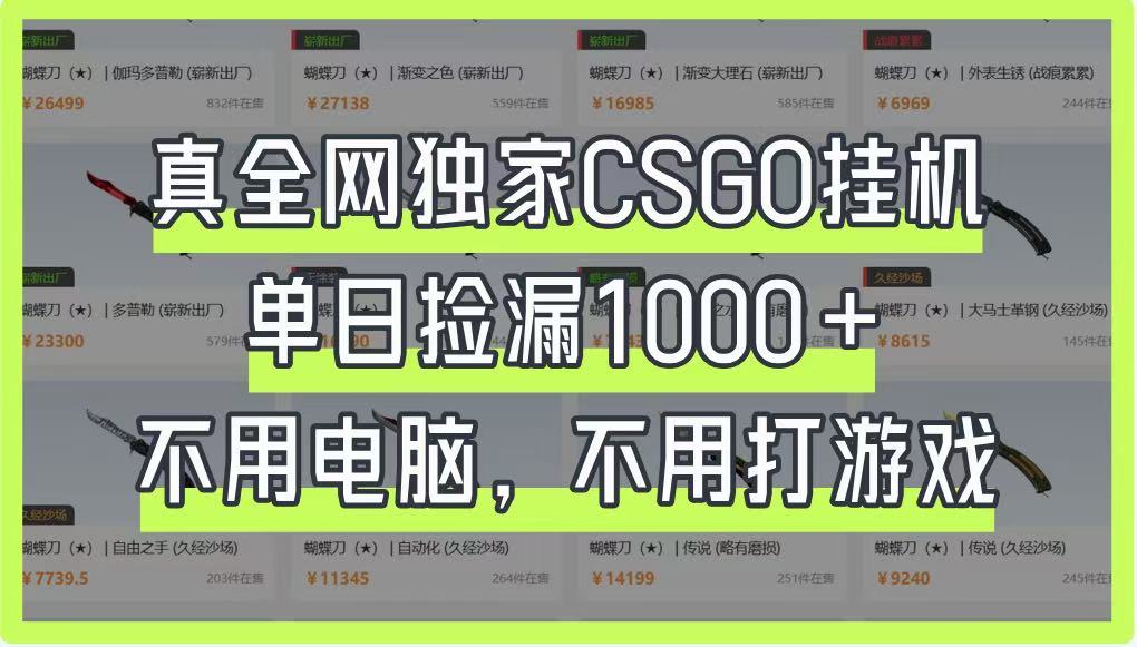 真全网独家CSGO挂机，单日捡漏1000+，不用电脑，不用养号-轻创终点站