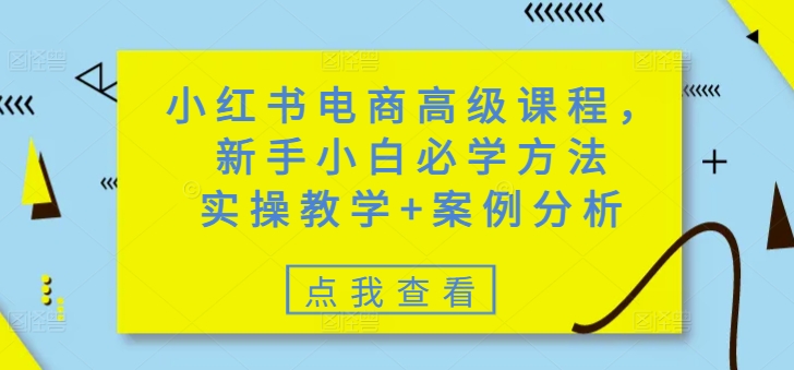 小红书电商高级课程，新手小白必学方法，实操教学+案例分析-轻创终点站