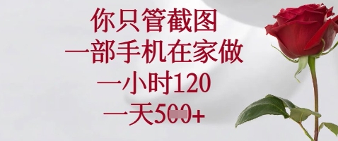 你只管截图，一部手机在家做，苹果安卓都可以，一小时120，一天5张+【揭秘】-轻创终点站