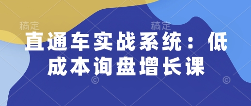 直通车实战系统：低成本询盘增长课，让个人通过技能实现升职加薪，让企业低成本获客，订单源源不断-轻创终点站