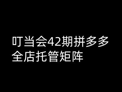 叮当会拼多多打爆班原创高阶技术第42期，拼多多全店托管矩阵-轻创终点站