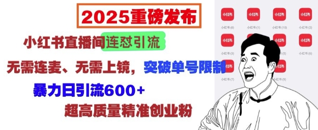 2025重磅发布：小红书直播间连怼引流，无需连麦、无需上镜，突破单号限制，暴力日引流600+-轻创终点站