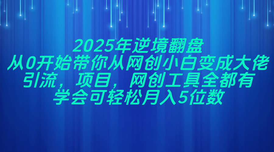 2025年逆境翻盘，从0开始带你从网创小白变成大佬，引流，项目，网创工…-轻创终点站