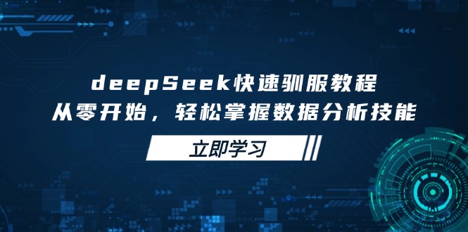 deepSeek快速驯服教程，从零开始，轻松掌握数据分析技能-轻创终点站