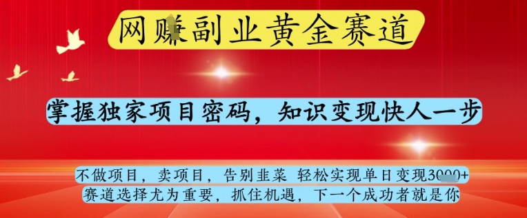 网创副业黄全赛道，掌握独家项目密码，知识变现快人一步，告别韭菜轻松实现单日变现1k+【揭秘】-轻创终点站