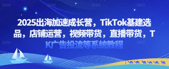 2025出海加速成长营，TikTok基建选品，店铺运营，视频带货，直播带货，TK广告投流等系统教程-轻创终点站