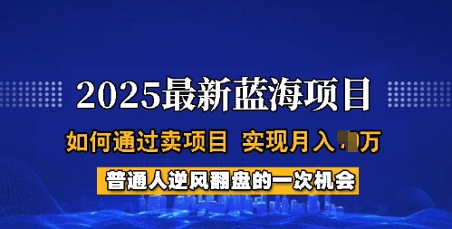 2025蓝海项目，普通人如何通过卖项目，实现月入过W，全过程【揭秘】-轻创终点站
