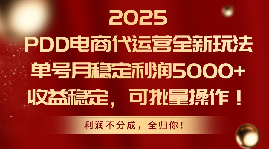 2025PDD电商代运营全新玩法，单号月稳定利润5000+，收益稳定，可批量操作-轻创终点站
