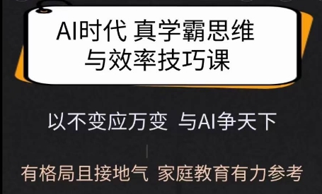 Ai时代真学霸思维与学习方法课，有格局且接地气，家庭教育有力参考-轻创终点站