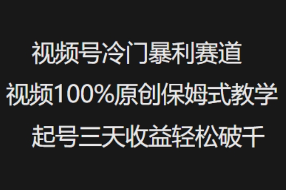 视频号冷门暴利赛道视频100%原创保姆式教学起号三天收益轻松破千-轻创终点站