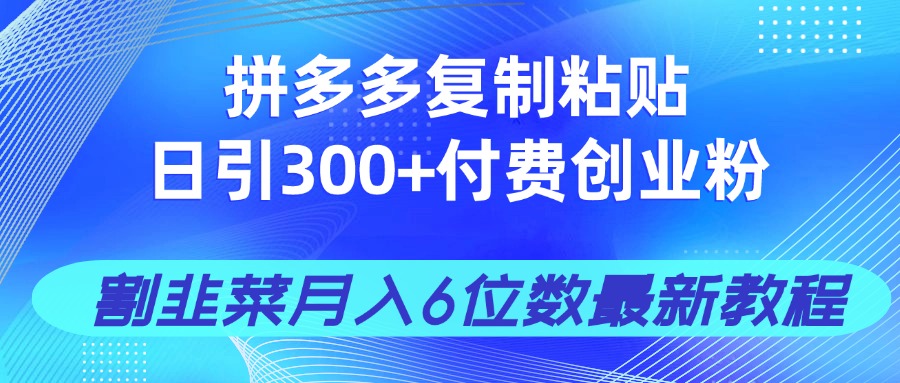 拼多多复制粘贴日引300+付费创业粉，割韭菜月入6位数最新教程！-轻创终点站