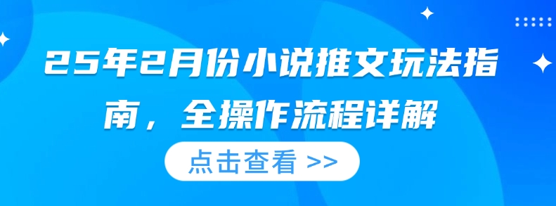 25年2月份小说推文玩法指南，全操作流程详解-轻创终点站