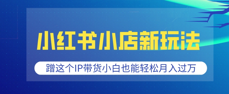 小红书小店新玩法，蹭这个IP带货，小白也能轻松月入过W【揭秘】-轻创终点站