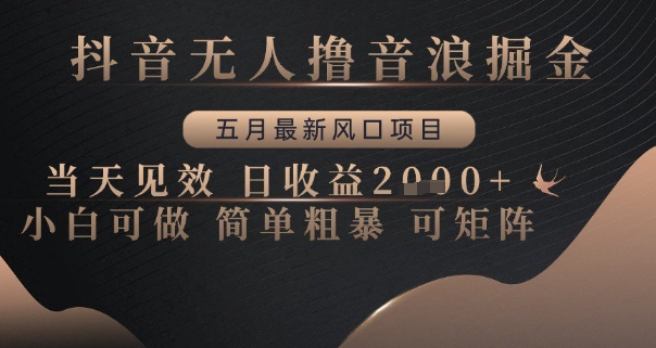 抖音无人撸音浪掘金，五月最新风口项目，当天见效，日收益多张，小白可做简单粗暴可矩阵【揭秘】-轻创终点站