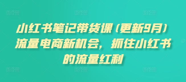 小红书笔记带货课(更新25年4月)流量电商新机会，抓住小红书的流量红利-轻创终点站