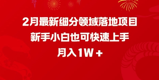2月最新细分领域落地项目，新手小白也可快速上手，月入1W-轻创终点站
