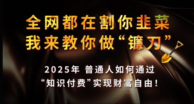 全网都在割你韭菜，我来教你做镰刀，2025年普通人如何通过 知识付费 实现财F自由【揭秘】-轻创终点站