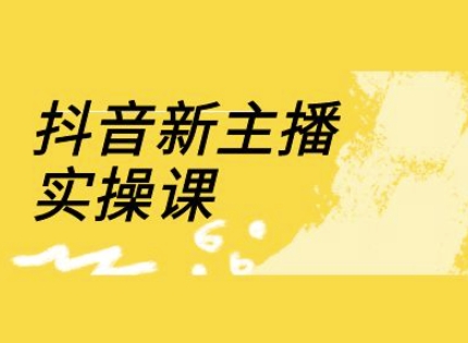 抖音新主播实操课，直播间流量运营线上实操课(18节)-轻创终点站