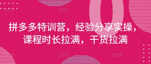 拼多多特训营，经验分享实操，课程时长拉满，干货拉满(更新25年4月)-轻创终点站