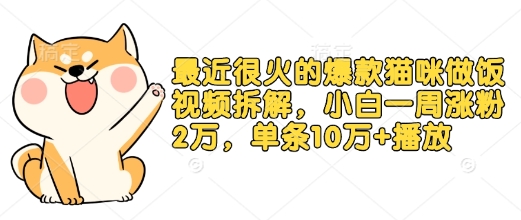 最近很火的爆款猫咪做饭视频拆解，小白一周涨粉2万，单条10万+播放(附保姆级教程)-轻创终点站
