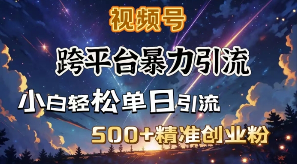 跨平台暴力引流，私域完美闭环，日引500+精准创业粉-轻创终点站
