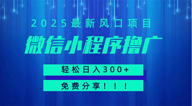 微信小程序撸广，最新风口项目，日入300+ 免费分享 可批量操作 小白可…-轻创终点站