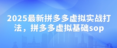 2025最新拼多多虚拟实战打法，拼多多虚拟基础sop-轻创终点站