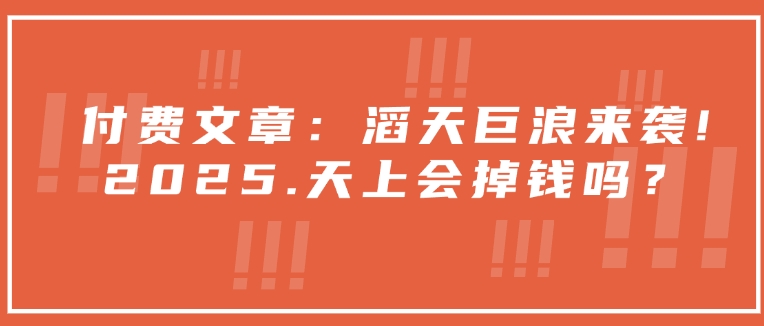 付费文章：滔天巨浪来袭！2025天上会掉钱吗？-轻创终点站