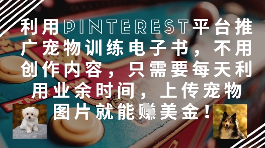 利用Pinterest平台推广宠物训练电子书，不用创作内容，只需要每天利用业余时间，上传宠物图片就能挣美金!-轻创终点站