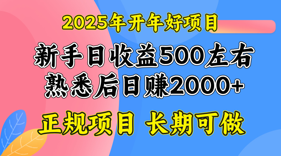 2025开年好项目，单号日收益2000左右-轻创终点站