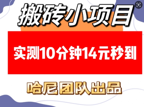 搬砖小项目，实测10分钟14元秒到，每天稳定几张(赠送必看稳定)-轻创终点站