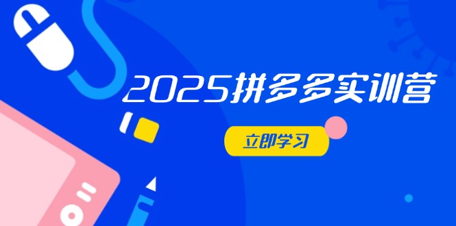2025拼多多实训营：深度剖析运营关键，助力电商人快速提升-轻创终点站