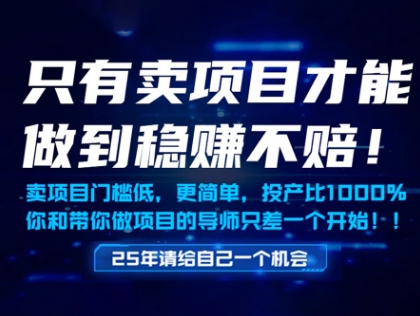 只有卖项目才能做到稳挣不赔，门槛低，更简单，你也可以年入百个W【揭秘】-轻创终点站