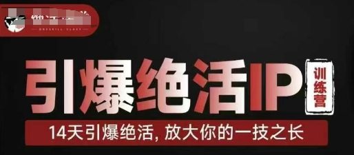 引爆绝活IP训练营，14天引爆绝活，放大你的一技之长-轻创终点站