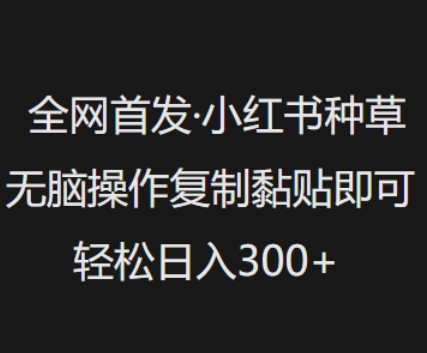 全网首发，小红书种草无脑操作，复制黏贴即可，轻松日入3张-轻创终点站