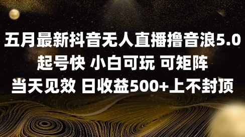 2025五月最新无人直播撸音浪单日产出5张+实操教程【揭秘】-轻创终点站