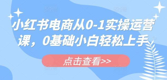 小红书电商从0-1实操运营课，0基础小白轻松上手-轻创终点站