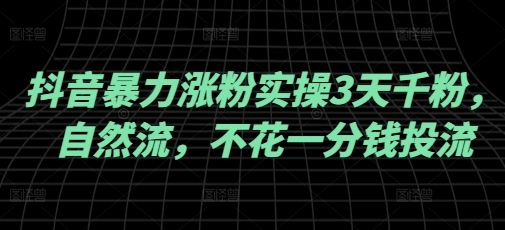 抖音暴力涨粉实操3天千粉，自然流，不花一分钱投流，实操经验分享-轻创终点站
