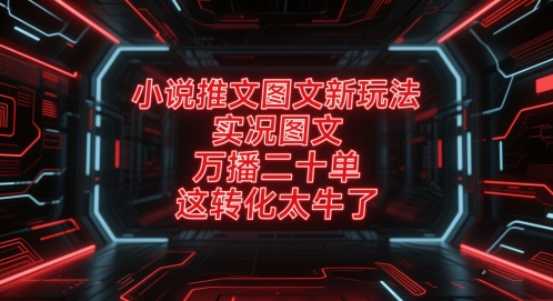 小说推文图文新玩法，实况图文，万播二十单，这转化太牛了！-轻创终点站